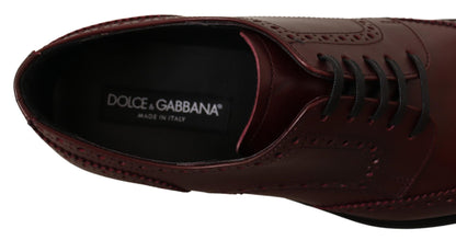 Dolce & Gabbana Bordeaux 가죽 Oxford Wingtip 공식화