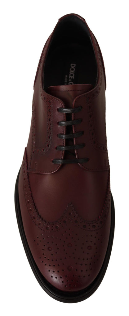 Dolce & Gabbana Bordeaux 가죽 Oxford Wingtip 공식화