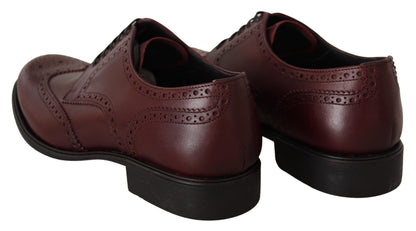 Dolce & Gabbana Bordeaux 가죽 Oxford Wingtip 공식화