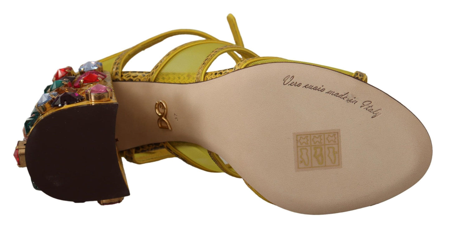 Dolce & Gabbana Yellow Leather Crystal Ayers Sandals 신발