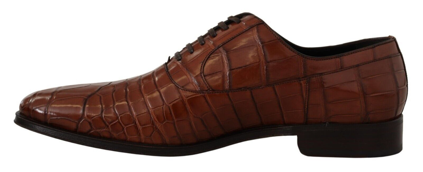 Dolce &amp; Gabbana Braune formelle Derby-Schuhe aus Krokodilleder für Herren