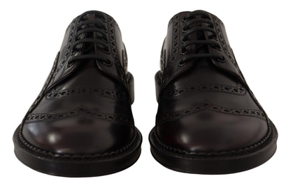 Dolce &amp; Gabbana Lila Leder-Oxford-Wingtip-Formelle Schuhe