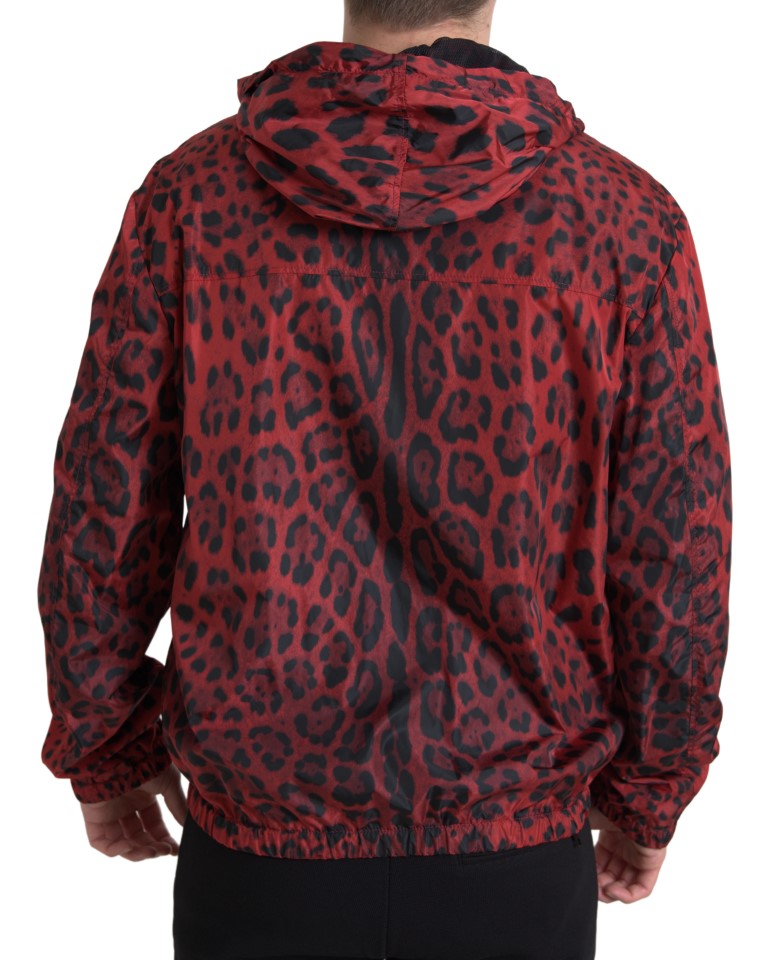 Dolce & Gabbana Red Leopard 후드 폭격기 전체 zip 재킷