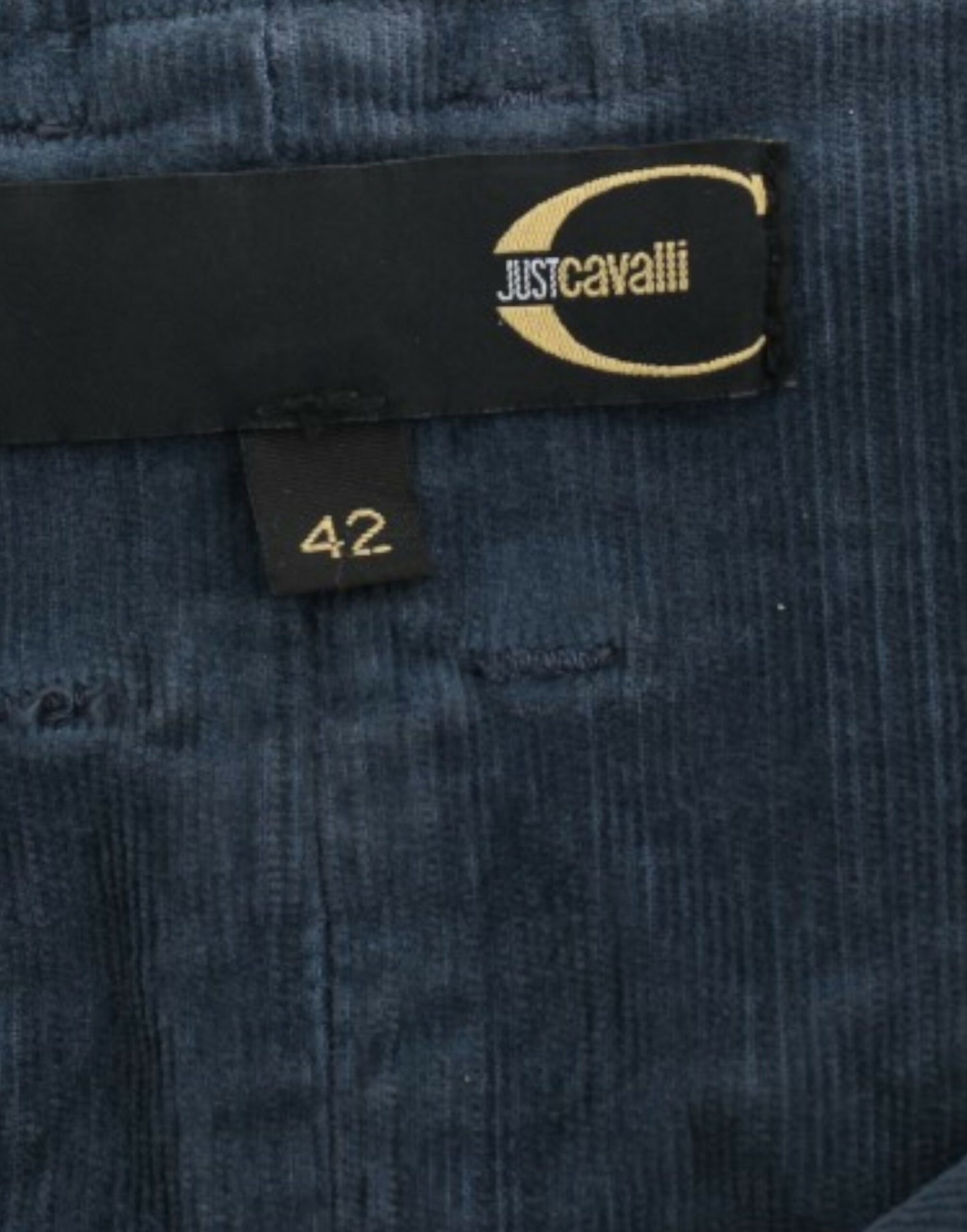 Cavalli Blue Corduroy 연필 치마