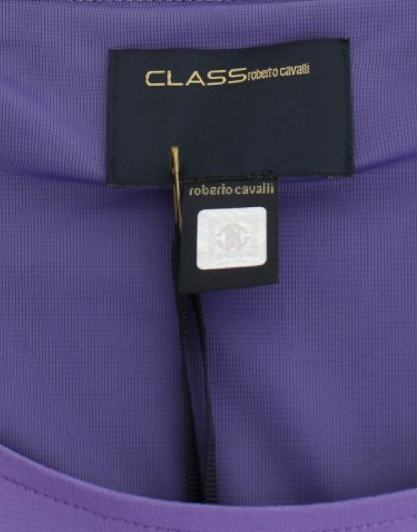 Cavalli Purple Longleeved Dress