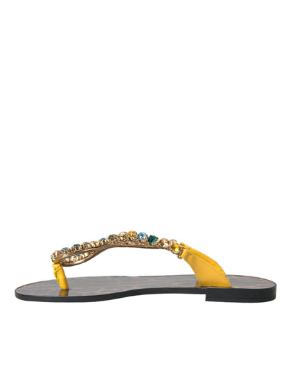 Dolce & Gabbana Mustard Crystal Calf Leather Beachwear Shoes