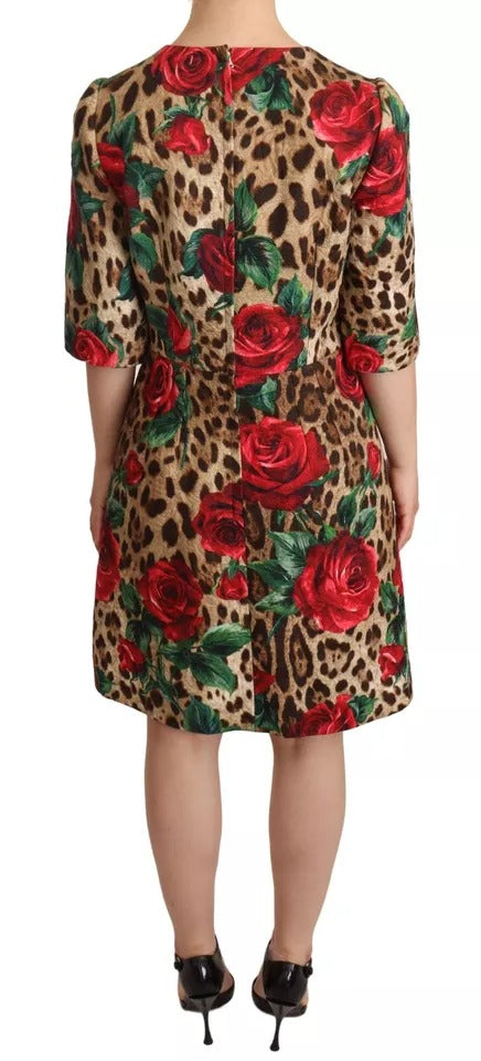 Dolce & Gabbana Brown Leopard Red Roses Cotton A-line Dress