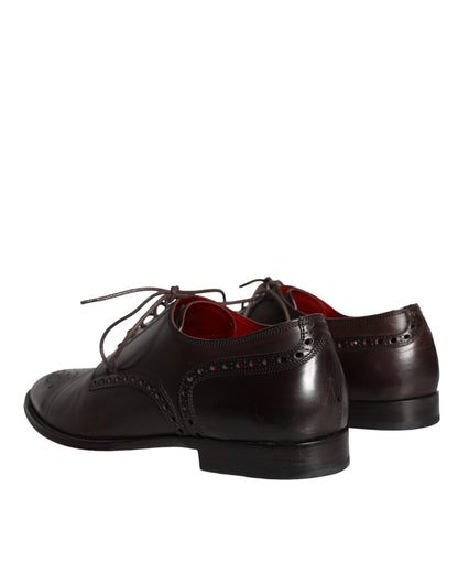 Dolce & Gabbana Brown Calfskin Leather Lace Up Oxford Shoes